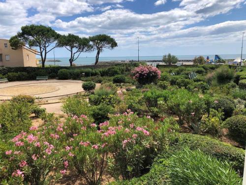 Charmant T2 avec parking et accès plage à Sète - FR-1-472-204