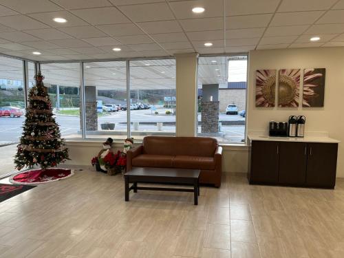 a christmas tree in a waiting room with a couch at Red Roof Inn & Suites Wilkesboro in Wilkesboro