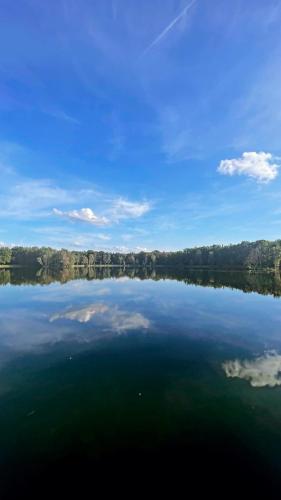 a large body of water with trees in the background at Boshuisje Pinus Sonnevijver Residences in Lanaken