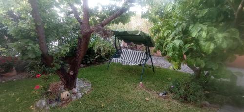 a green umbrella and a chair under a tree at Lamato Borgo in SantʼEufemia Lamezia