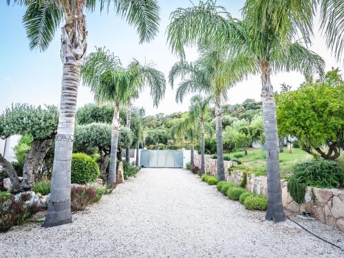 a pathway lined with palm trees in a garden at Villa AzaiTu Suites in Porto-Vecchio