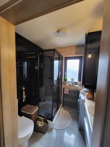a bathroom with a shower and a toilet and a sink at Leśna Stodoła in Lubień Kujawski