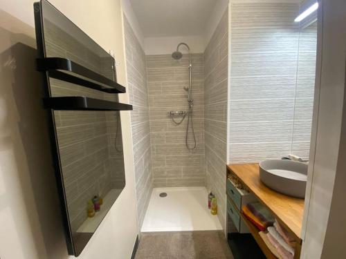 une petite salle de bain avec un lavabo et une douche dans l'établissement Calme et volupté avec animaux, à Saint-Jean-Lasseille