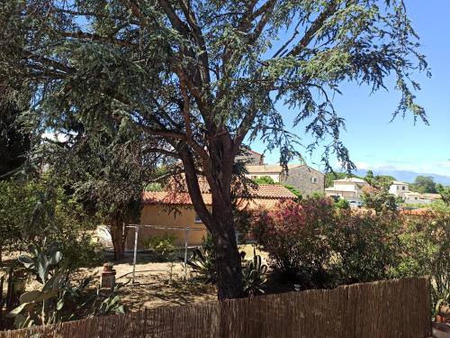 Calme et volupté avec animaux