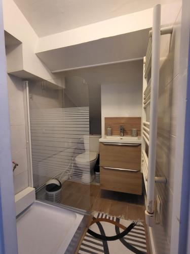 une salle de bain avec toilettes et lavabo dans l'établissement Cocon Villeurbanne Charpennes, à Villeurbanne