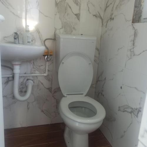 a bathroom with a white toilet and a sink at Katun Ljeljenak in Pluzine