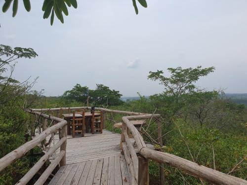 a wooden boardwalk in the middle of a forest at Topi Lodge in Queen Elizabeth National Park