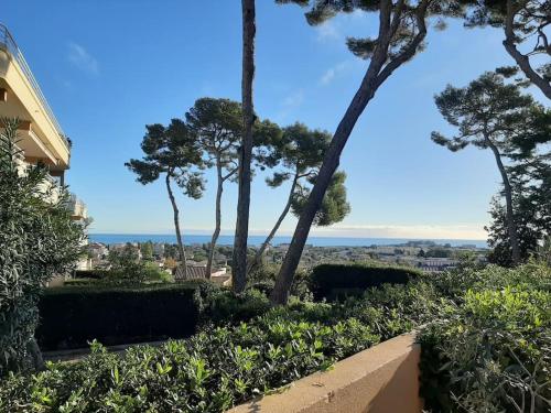 Appartement 3 pièces