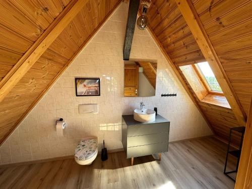 een badkamer met een wastafel op zolder bij Altes Forsthaus Fischbach in Sankt Andreasberg