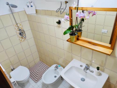 a bathroom with a toilet and a sink and a mirror at La Mansarda di Terelle in Terelle