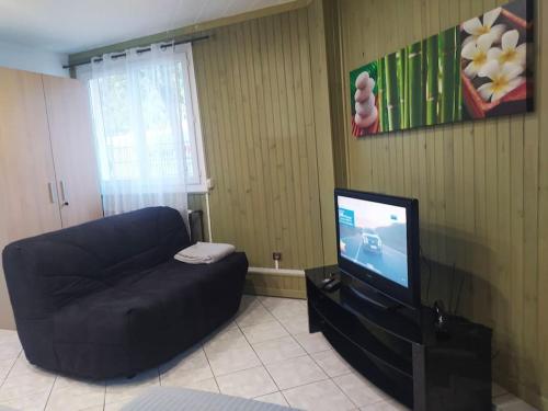 TV a/nebo společenská místnost v ubytování Studio Cosy au Calme, RER-2arrêts Stade-25minParis
