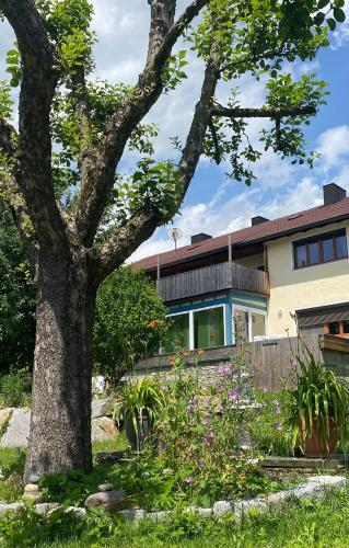 a house with a tree in the yard at Ferienwohnung Altes Zollhaus in Ering