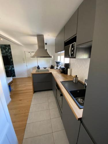 une cuisine avec un évier et un plan de travail dans l'établissement Bel appartement au bord d Yerres, à Yerres