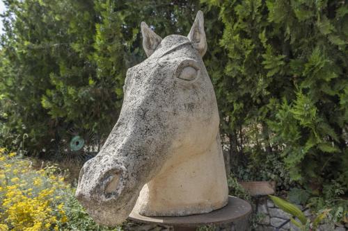 Zahrada ubytování El Paller de Cal Maso
