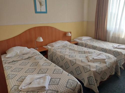 Gallery image of Korona Noclegi Cieszyn in Cieszyn
