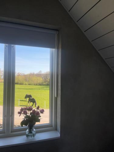 a horse walking through a window with a vase of flowers at Scandinavian Haven in Mörarp