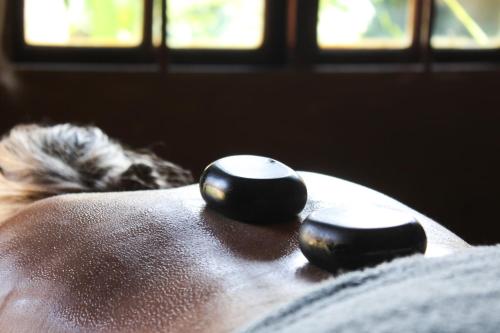 a dog laying on a couch with two black objects at Avoca River Cabins in Addo