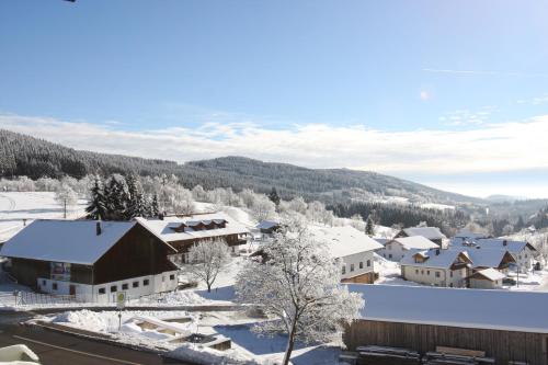 a village covered in snow with mountains in the background at Gasthof Reiner in Sankt Englmar