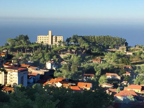 Φυσικό τοπίο κοντά σε αυτό το διαμέρισμα