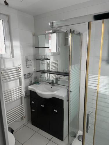 une salle de bain avec un lavabo et une douche dans l'établissement Maison de bord de Loire, à Sully-sur-Loire