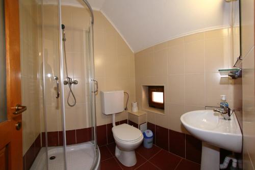a bathroom with a shower and a toilet and a sink at Pensiunea Muntele Alb in Horezu