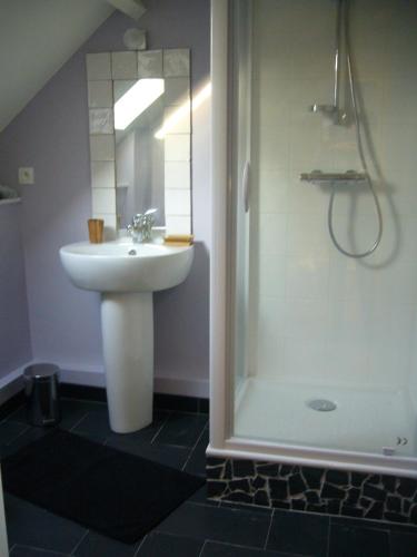 a bathroom with a sink and a shower at Maison d'hôtes les Escures in Acigné