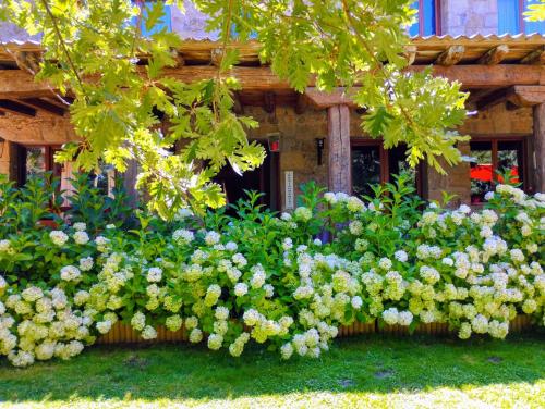 a garden of white flowers in front of a building at Posada Restaurante Fuenteplateada in Collado Hermoso