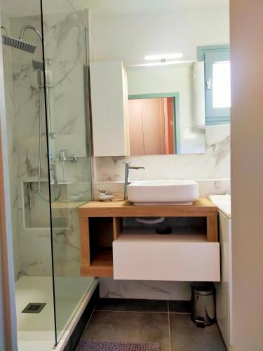 une salle de bain avec un lavabo et une douche dans l'établissement OVGMontgenevre, à Montgenèvre