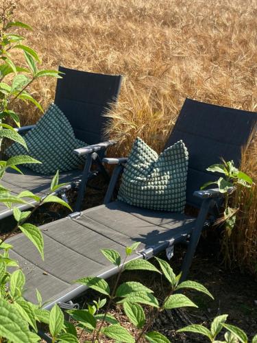 two chairs with pillows sitting in a yard at Holz Fässla in Wolframs-Eschenbach