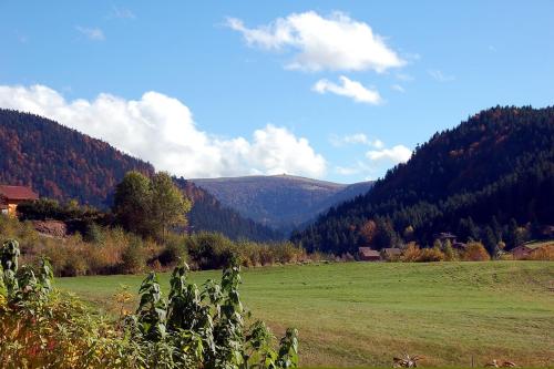 un champ d'herbe avec des montagnes en arrière-plan dans l'établissement Les Joyeux randonneurs, à Xonrupt-Longemer