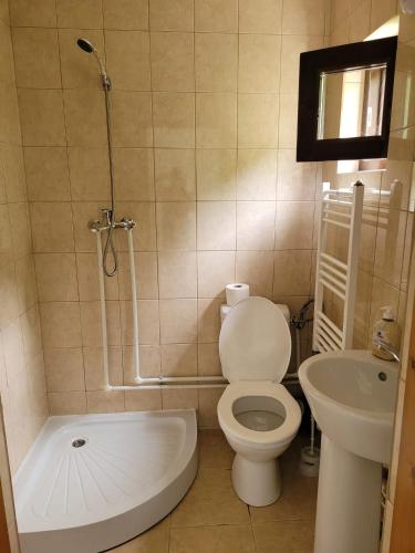 a bathroom with a toilet and a shower and a sink at Casa Ursului in Vadu Moţilor