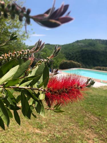 Paesaggio naturale nelle vicinanze della casa vacanze