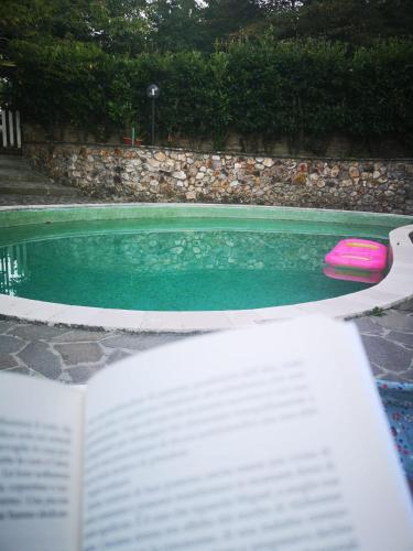 a book and a frisbee next to a swimming pool at la mansarda nel bosco in Tolfa