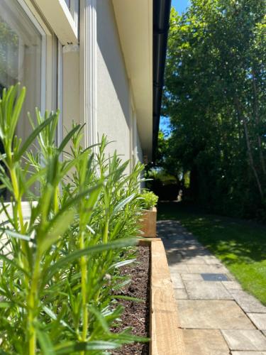Gallery image of Enchanting 1 Bedroom Home with Kitchen in Saffron Walden
