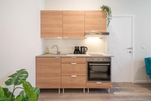 Η κουζίνα ή μικρή κουζίνα στο Cozy Antwerp City Apartments