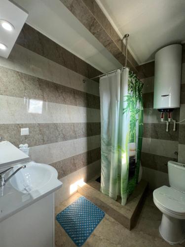 a bathroom with a shower with a toilet and a sink at Casa Lebăda in Jurilovca
