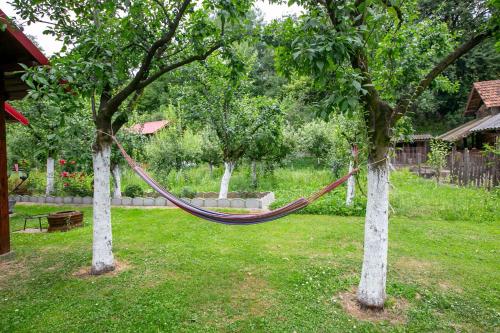 a hammock hanging between two trees in a yard at Casa Mădălina in Oeștii Ungureni