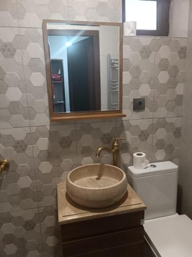 a bathroom with a sink and a toilet and a mirror at Hotel Riverside Inn in Martuni