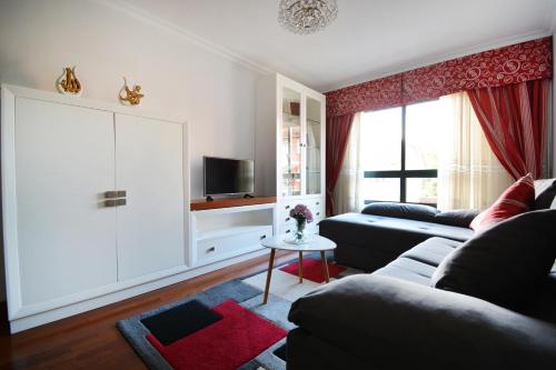 TV a/nebo společenská místnost v ubytování Céntrico apartamento en Meis