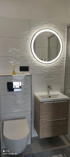 a bathroom with a toilet and a sink and a mirror at Apartamenty Szepty Mazur in Odoje