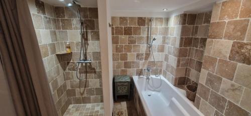 La salle de bains est pourvue d'une baignoire, d'une douche et d'une baignoire. dans l'établissement Le Jardin secret 100m Mairie, à Aix-en-Provence
