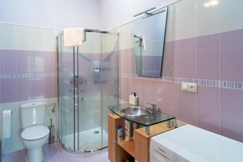 a bathroom with a shower and a toilet and a sink at La Casita Verde de Cabárceno in Sobarzo