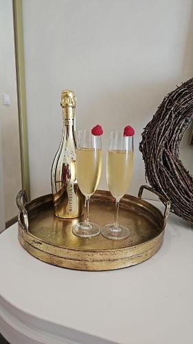 a tray with two glasses and a bottle of wine at Hotel Aria in Podstrana