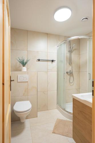 a bathroom with a shower and a toilet and a sink at Apartmány pod Rozsutcom - Zaťkov dvor in Terchová