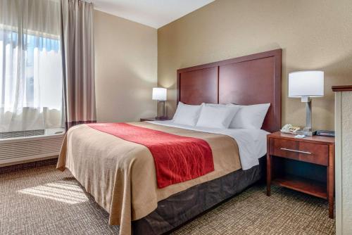 Ένα ή περισσότερα κρεβάτια σε δωμάτιο στο Comfort Inn