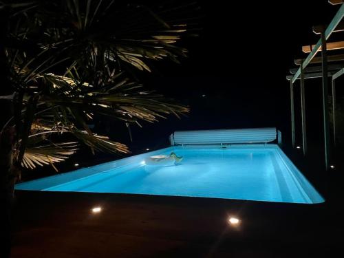 - une piscine avec un palmier la nuit dans l'établissement Villa de charme piscine chauffée St Pierre Oléron, à Saint-Pierre-dʼOléron
