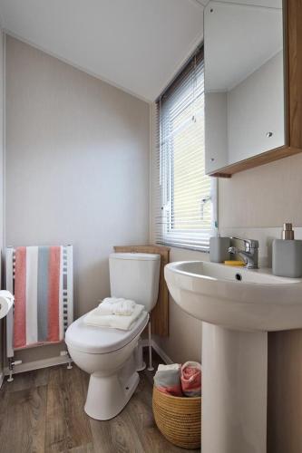 a bathroom with a white toilet and a sink at Castle Archdale Holiday Park in Enniskillen
