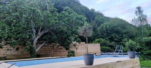 une piscine avec des arbres et une montagne en arrière-plan dans l'établissement Le Clos Baroussais, à Thèbe