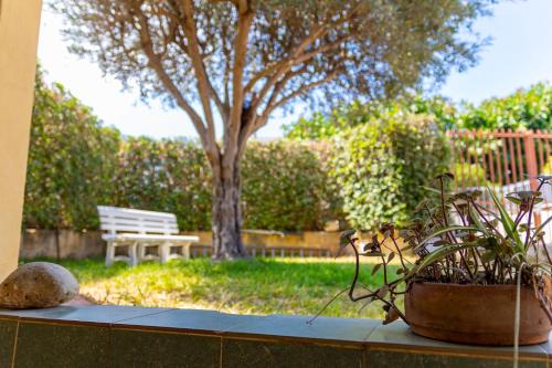 a garden with a bench and a tree and a table at Nice to stay in Fontane Bianche