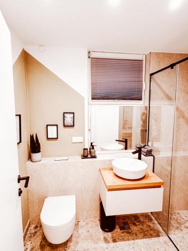 a bathroom with a toilet sink and a shower at Großes Apartment, Top-Lage, See & Berge, Sauna in Winterberg